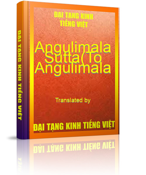 Đại Tạng Kinh Việt Nam